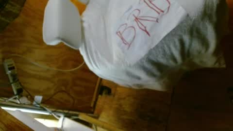 14XXXRomeo online show from June 12, 1:42 pm