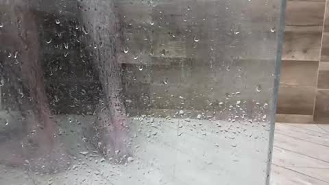 1ns1d3r online show from February 10, 8:02 pm