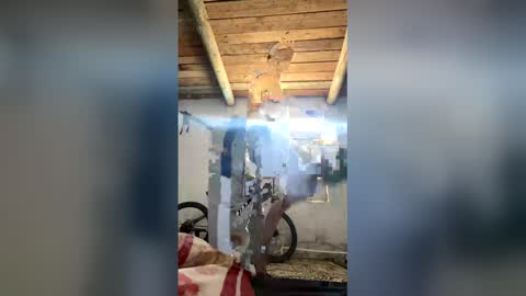 2pa120910 online show from April 4, 10:45 am