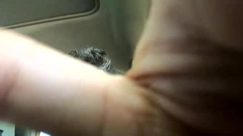 abza69 online show from October 19, 10:13 pm