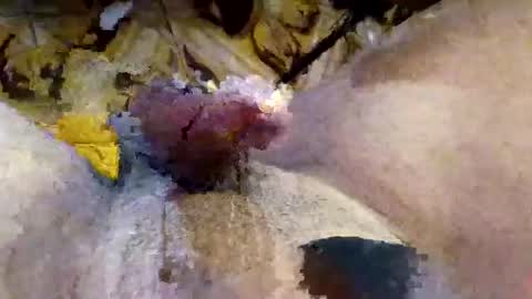 Hotale online show from March 23, 5:30 pm