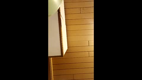 andris40 online show from March 22, 9:09 pm