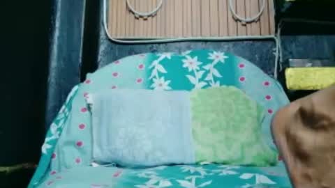 Rc Suman online show from July 5, 3:19 pm