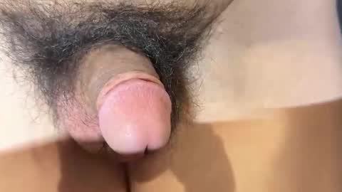 apple2761 online show from January 14, 7:28 pm