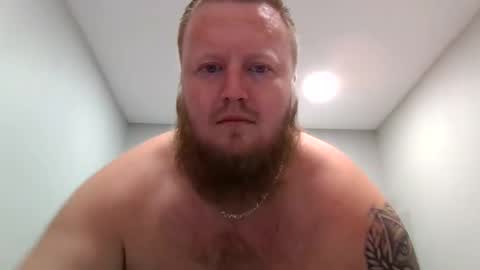 StockyGINGERcub online show from December 12, 10:31 pm