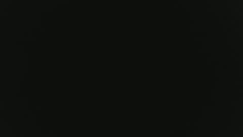 balszz online show from December 23, 2:09 am