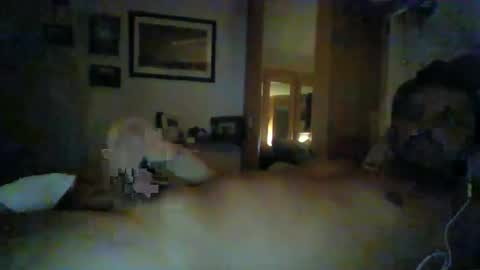 bearboudior online show from January 14, 12:22 am