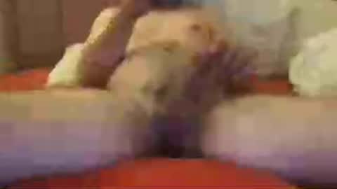 benmesela online show from June 16, 8:55 pm