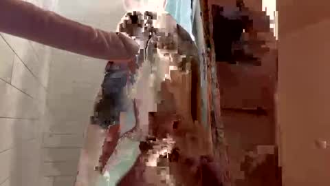 berriess_ online show from June 7, 10:22 am