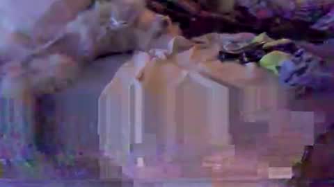 BB online show from February 8, 3:12 am