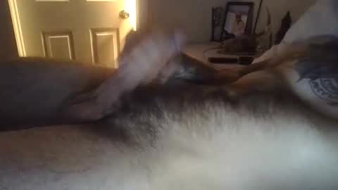 bigdickdylan1472 online show from March 22, 8:03 pm