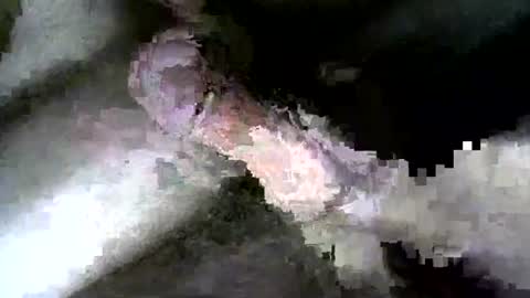 billpark20 online show from July 21, 2:57 am
