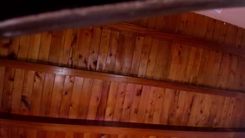 Sam online show from March 19, 12:30 pm