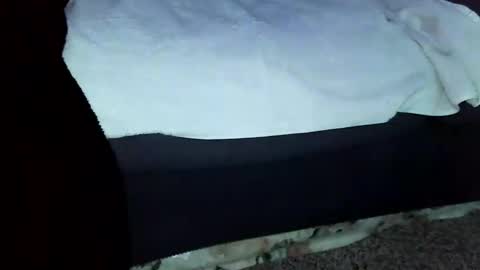 Bryson Teller online show from November 6, 8:28 am