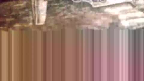 Cactus1041 online show from March 29, 4:34 am