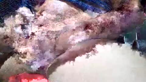 camicumhot online show from March 13, 12:40 am