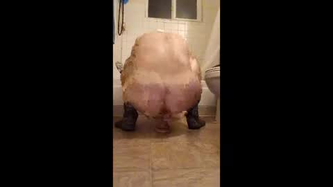 cats_summer online show from March 1, 5:07 am