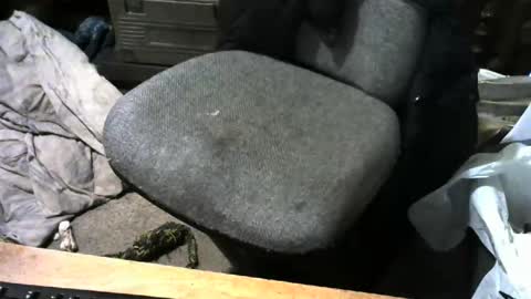 chefy online show from April 14, 12:16 pm