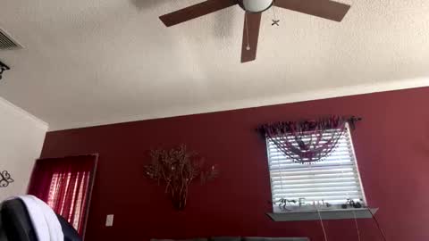 CHINO online show from February 2, 5:54 pm