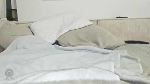 chubbybear8888 online show from February 25, 1:50 am