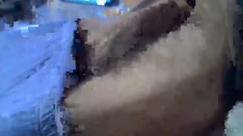 Corrado online show from February 4, 11:16 am