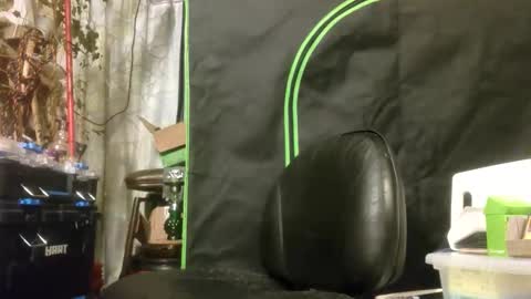 crackback_kyd online show from February 14, 12:00 pm