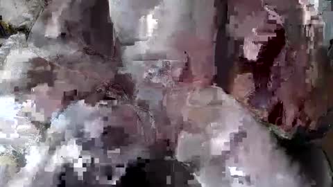 dalamud48 online show from May 11, 8:49 am
