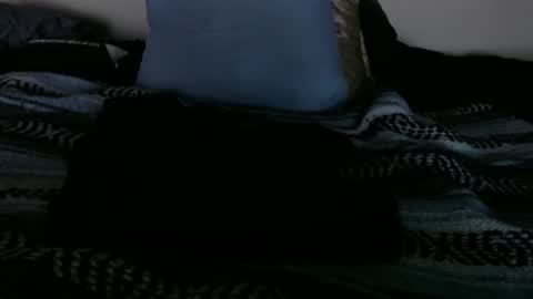 dino695802 online show from January 19, 1:52 am