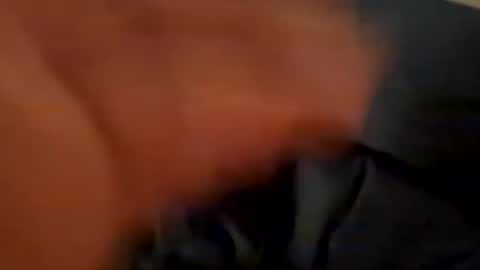 Bigslick online show from February 28, 9:55 pm