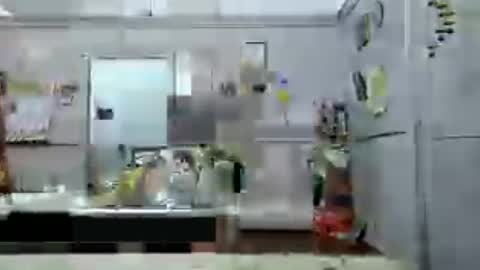 dvbhide online show from July 24, 2:24 pm