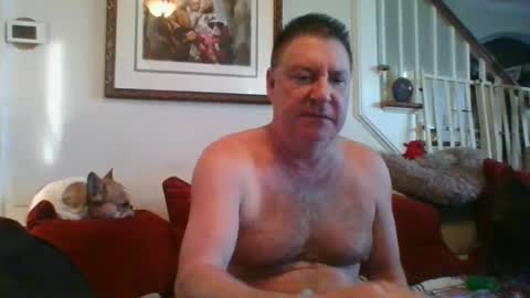 falconbator8 online show from February 2, 12:35 pm