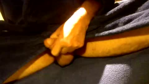 fastoys aka ...what ever.. online show from March 12, 4:04 pm