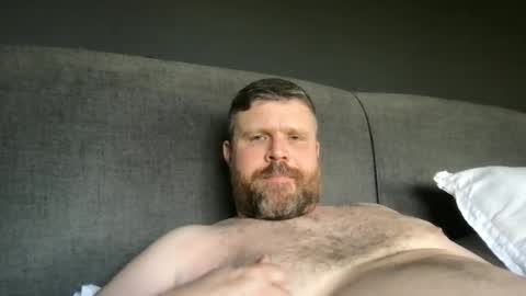 fin bear dom online show from May 21, 11:15 am