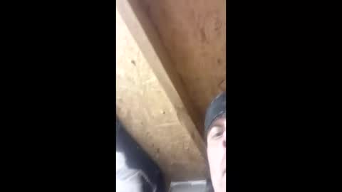 Girth Brookes online show from March 14, 1:51 pm