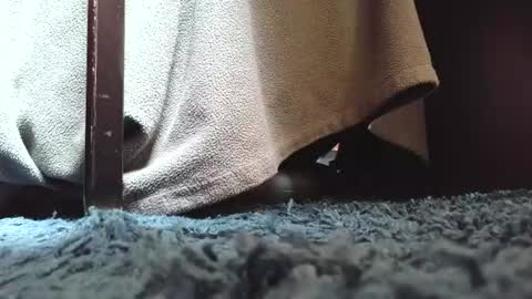 Greedy Fred online show from June 28, 3:51 pm