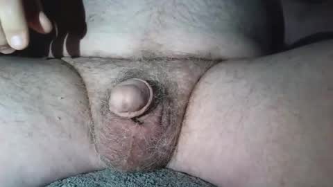 free_amos online show from July 8, 12:20 pm