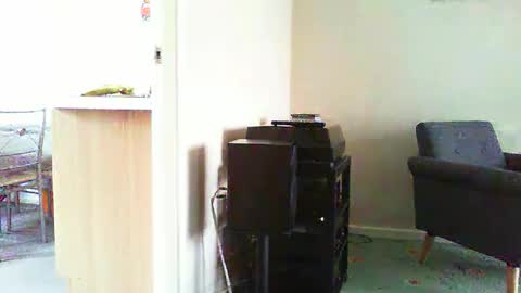 Funslimguy online show from April 12, 2:51 pm