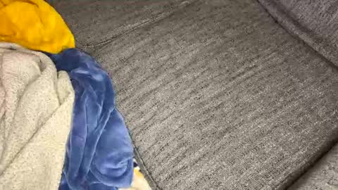 gingerrslut online show from March 13, 8:55 am