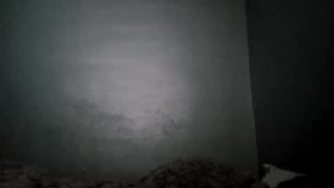 goober1979 online show from March 7, 10:13 am