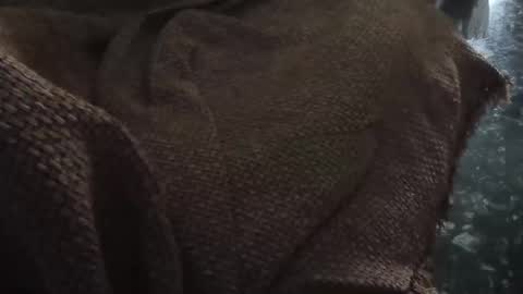 goodold1960 online show from May 18, 12:00 pm