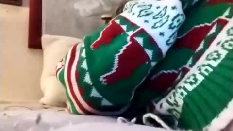 Marty online show from April 2, 3:15 am