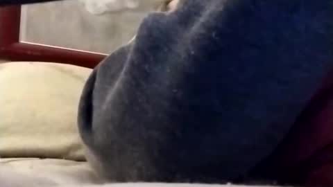 Marty online show from March 20, 2:59 am