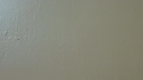 hamhead71 online show from February 4, 10:13 pm