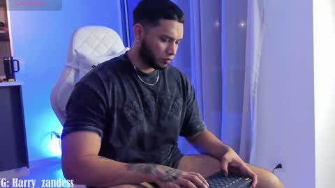 Harry Zandes online show from February 6, 4:21 am