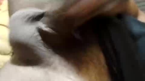 hotadriz online show from April 21, 6:58 pm