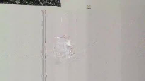 jakeandhissnakee online show from April 8, 11:42 am