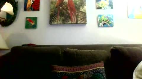 jay-jay1475 online show from April 12, 7:48 pm