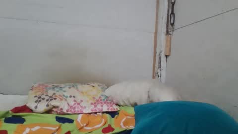 jdrake27 online show from April 14, 1:49 am