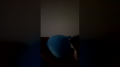 joshua_b11 online show from March 28, 6:46 am