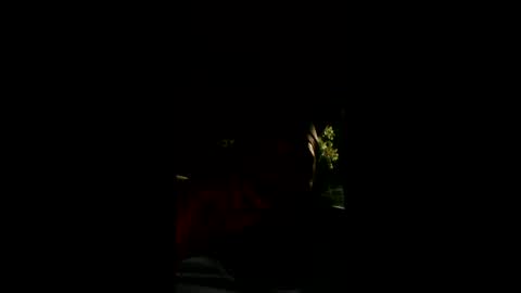 justinmoye95 online show from May 16, 8:44 am